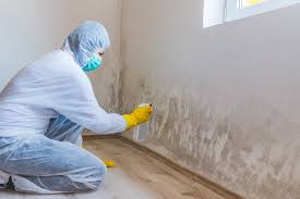 Best Residential Mold Inspection & Testing  in Ellaville, GA