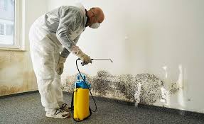 Best Emergency Mold Remediation  in Ellaville, GA