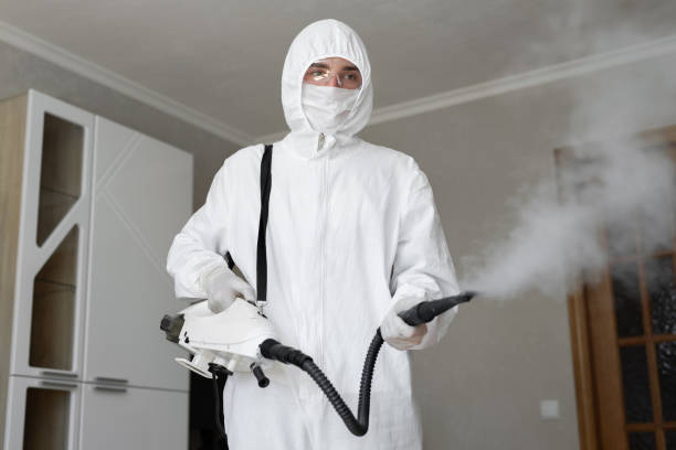 Best Mold Odor Removal Services  in Ellaville, GA