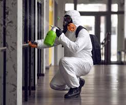 Best Mold Prevention Services  in Ellaville, GA