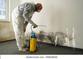 Best Biohazard Mold Removal  in Ellaville, GA